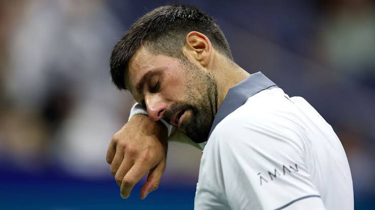 novak